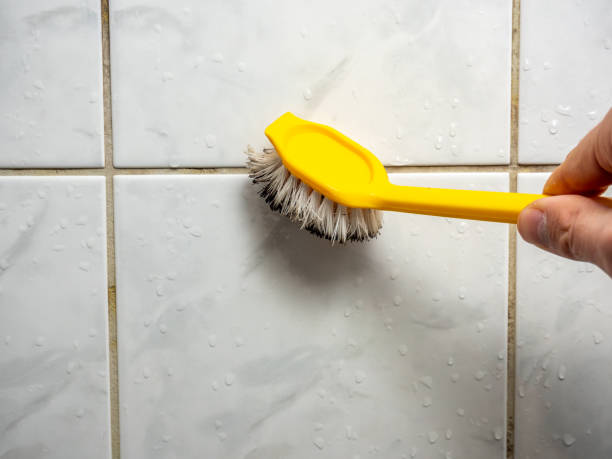 Best Mold Testing  in Grandview, TX