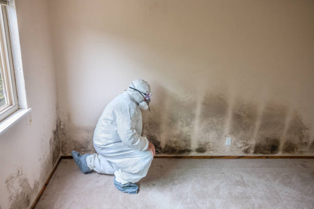 Best Residential Mold Removal  in Grandview, TX