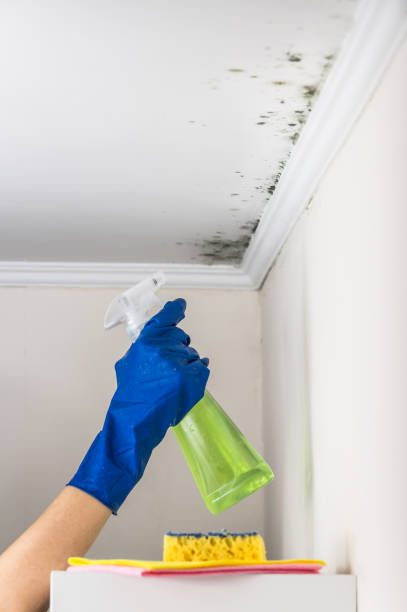 Best Mold Testing  in Grandview, TX